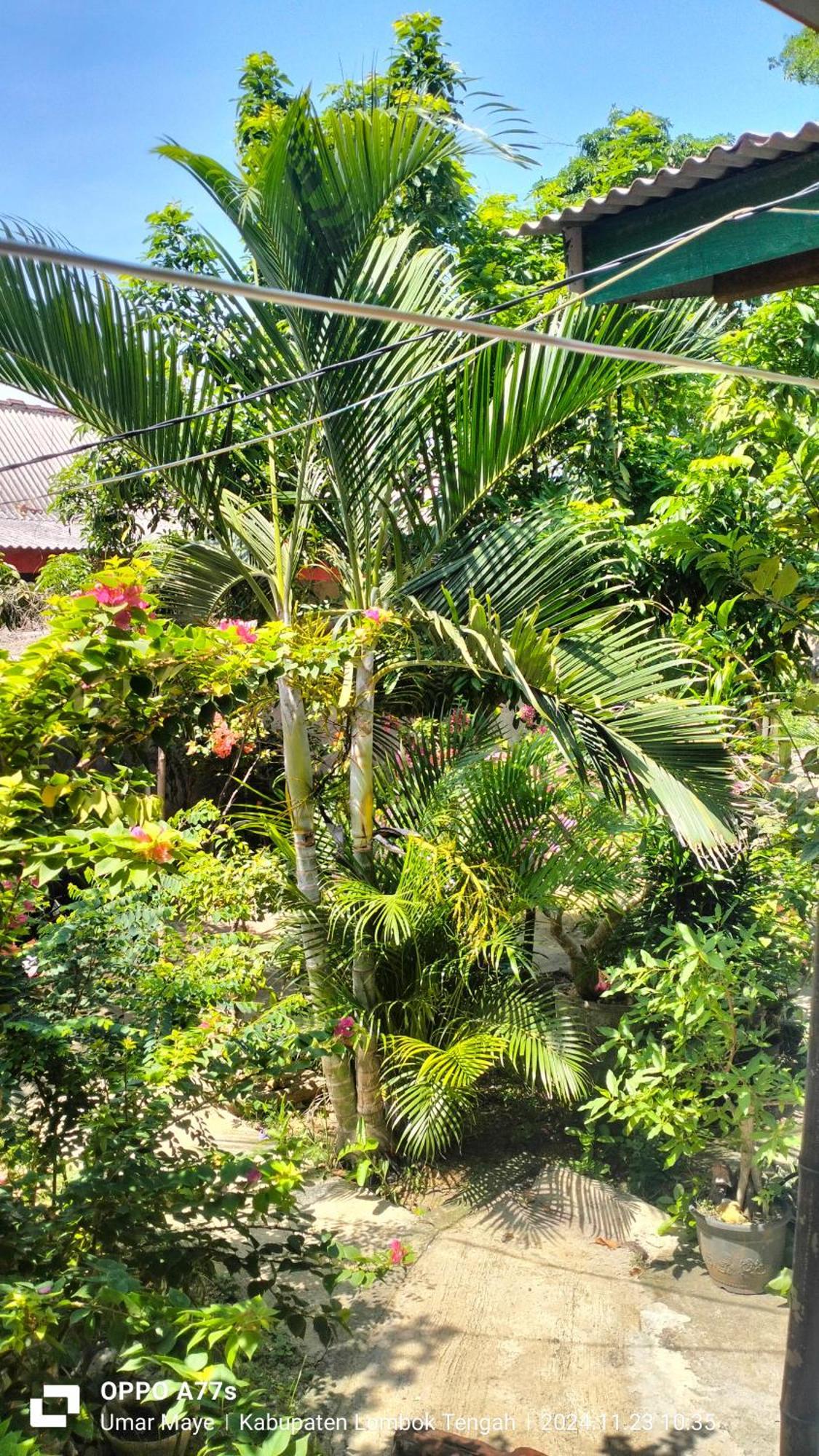 Nadil Homestay Kuta  Eksteriør bilde